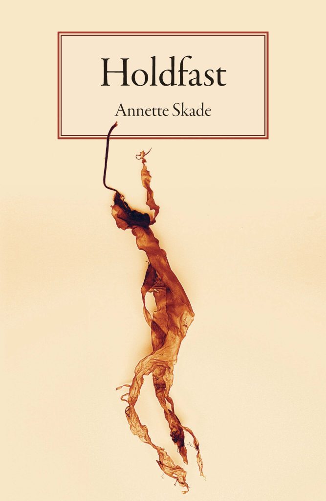 Front cover of Holdfast, featuring a photo of a piece of red seaweed in a human-like shape, the top of which intersects with a box containing the book's title