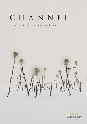 Front cover of Channel Issue 1, featuring the journal's title and the tagline 'people/writing/nature' on a pale background, in the centre of which is a photo of a set of sculptures of dandelion clocks with thorny stems