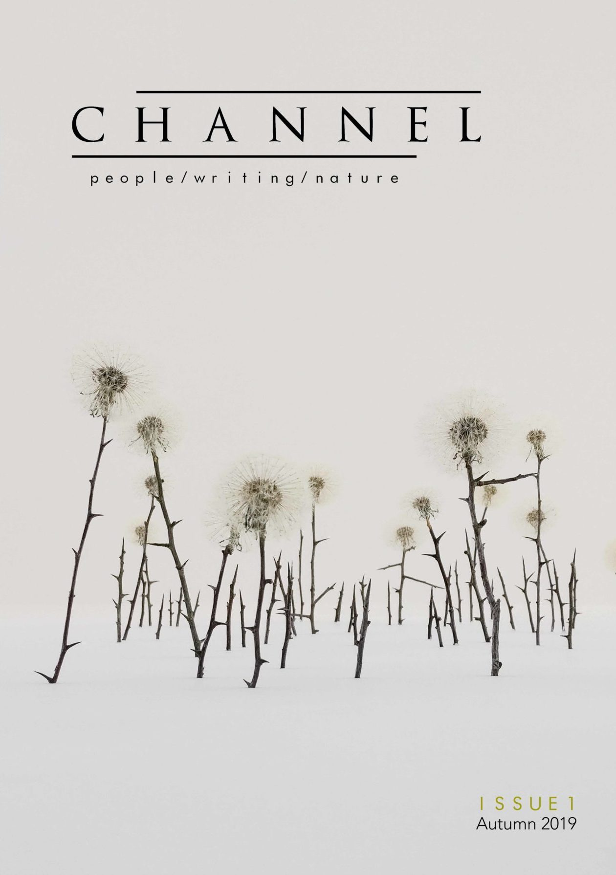 Front cover of Channel Issue 1, featuring the journal's title and the tagline 'people/writing/nature' on a pale background, in the centre of which is a photo of a set of sculptures of dandelion clocks with thorny stems