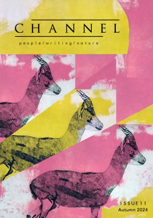 Front cover of Channel Issue 11, featuring the journal's title and the tagline 'people / writing / nature/ against a collage made up of repeating black drawings of a gazelle on pink and yellow backgrounds