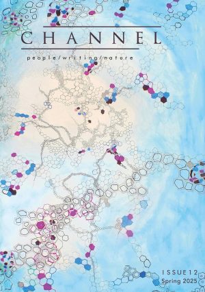 Front cover of Channel Issue 12, featuring the journal's title and the tagline 'people / writing / nature' against artwork showing intricate interlocking shapes on a swirling white background