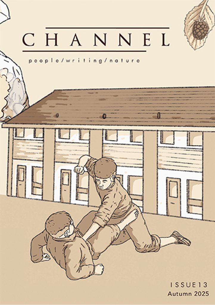 Front cover of Channel Issue 13, featuring the journal's title and the tagline 'people/writing/nature' on a brown background illustrated with images of two boys fighting outside a row of terraced houses, a blackberry and a rubbish bag
