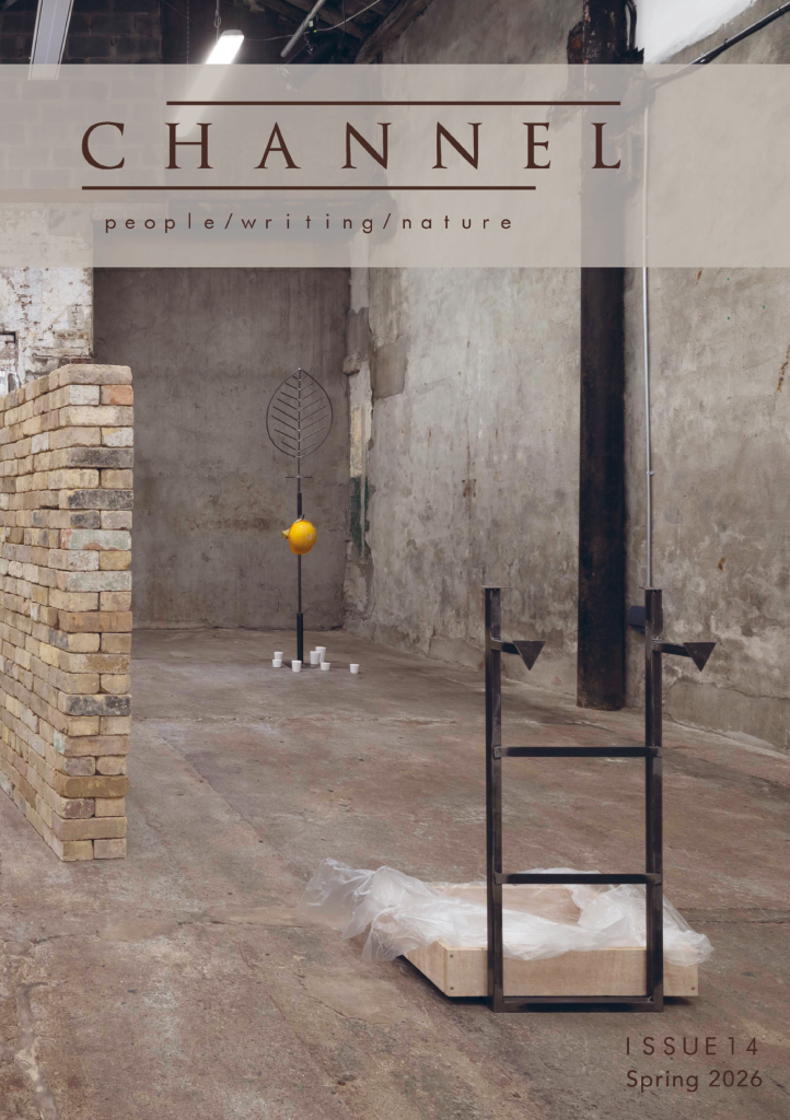 Front cover of Channel Issue 14, featuring the journal's title and the tagline 'people/writing/nature' against a photo of an art installation involving a ladder, a branch-and-leaf-shaped sculpture with a hard hat hanging from it and a brick wall