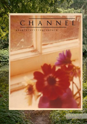 Front cover of Channel Issue 7, featuring the journal's title and the tagline 'people/writing/nature' laid over a photo of red flowers on a windowsill, which in turn partially covers a larger photo of a wooded landscape